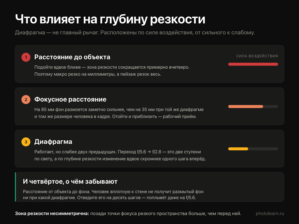 Что влияет на глубину резкости: расстояние до объекта, фокусное расстояние, диафрагма и расстояние до фона