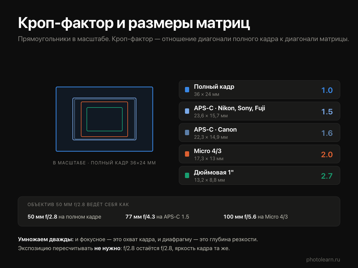 Размеры матриц в масштабе и кроп-факторы: полный кадр, APS-C 1.5 и 1.6, Micro 4/3, дюймовая